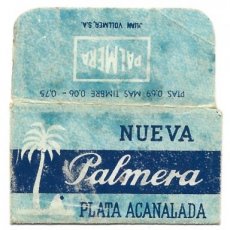 Palmera -plata-acanalada-1 Palmera Plata Acanalada 1