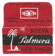 Palmera -plata-acanalada-5a Palmera Plata Acanalada 5A