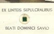 dominici-savio-1 Domenico Savio Relikwie